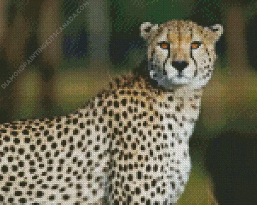 Cheetah Running Diamond Painting