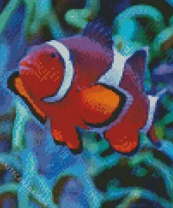 Clownfish Underwater Diamond Painting