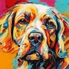 Dog Abstract Art Diamond Painting