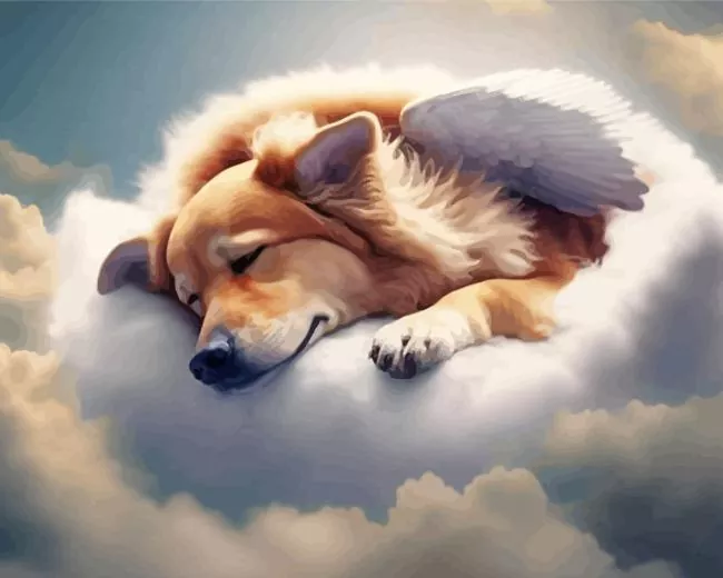 dog in heaven Diamond Paints