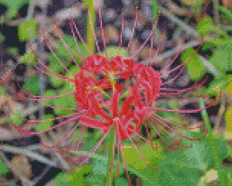 Red spider lily Diamond By Numbers Red Spider Lily Diamond Painting