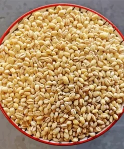 Barley Grain Diamond Painting