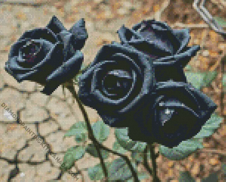 black roses Diamond Paintings Black Roses Diamond Painting