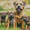 Border Terrier Puppies Diamond Painting