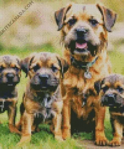 Border Terrier Puppies Diamond Painting