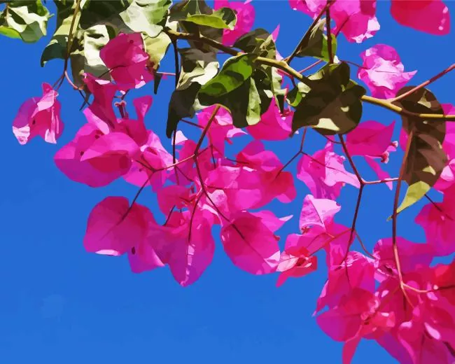 bougainvillea branch Diamond Paints Bougainvillea Branch Diamond Painting