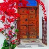 Bougainvillea Front Door Diamond Painting
