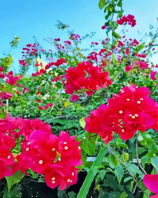 bougainvillea plant Diamond Paintings Bougainvillea Plant Diamond Painting