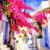 Bougainvillea Santorini Art Diamond Painting
