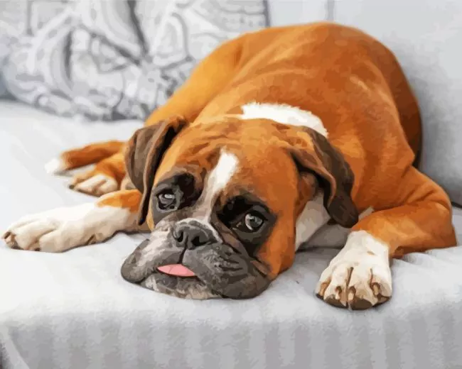 boxer dog sitting on couch Diamond Paintings Boxer Dog Sitting In Couch Diamond Painting