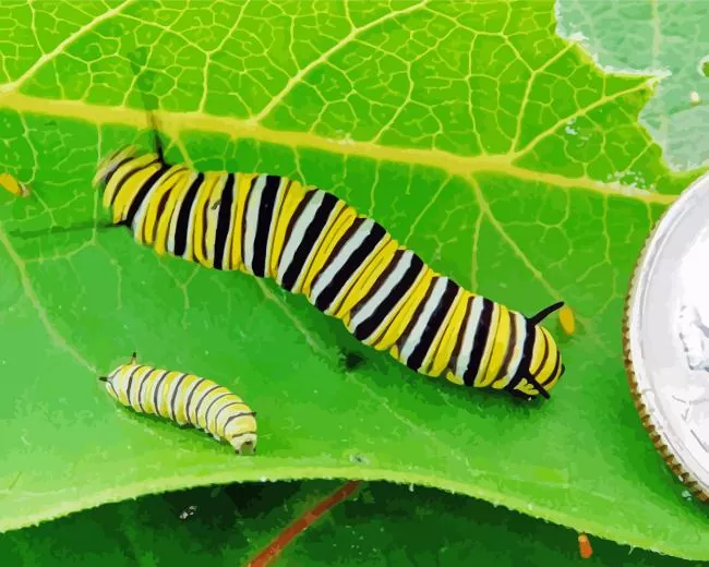 caterpillar insect Diamond Dotz Caterpillar Insect Diamond Painting