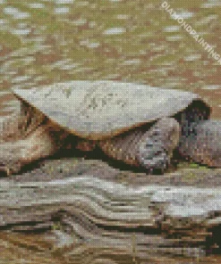 Common Snapping Turtle Diamond Painting