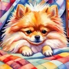 Cool Pomeranian Art Diamond Painting