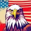 Eagle American Flag Art Diamond Painting