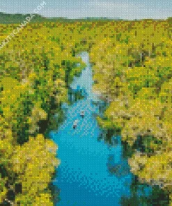Everglades National Park Diamond Painting