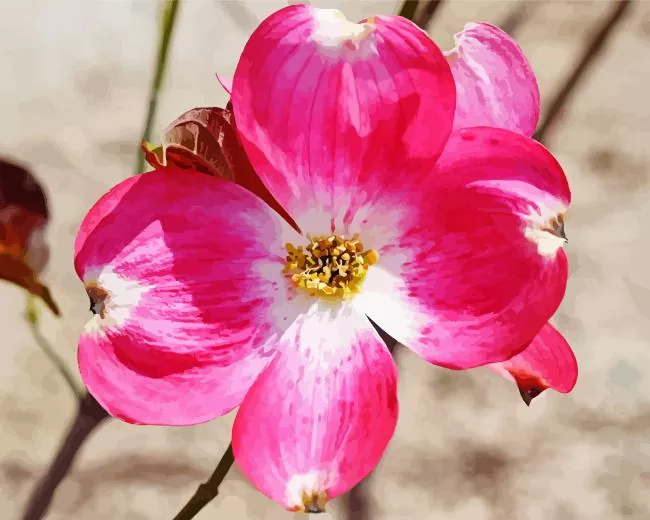 flowering dogwood Diamond Paints Flowering Dogwood Diamond Painting