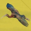 Ibis Bird Flying Diamond Painting
