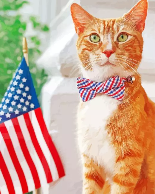 kitten with bow tie Diamond Dotz Kitten With Bow Tie Diamond Painting