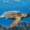 Loggerhead Sea Turtle Diamond Painting