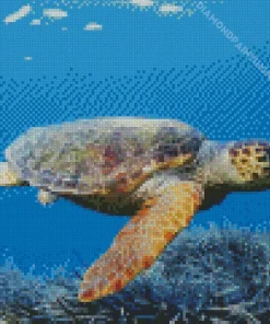 Loggerhead Sea Turtle Diamond Painting