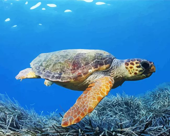 loggerhead sea turtle Diamond Paintings Loggerhead Sea Turtle Diamond Painting