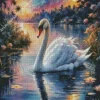 Lonely White Swan Bird Diamond Painting