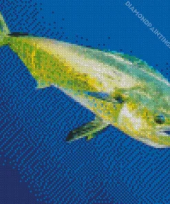 Mahi Mahi Fish Diamond Painting