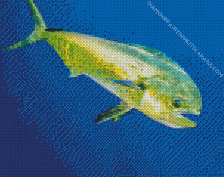 mahi mahi fish Diamond By Numbers Mahi Mahi Fish Diamond Painting