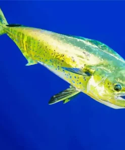 Mahi Mahi Fish Diamond Painting