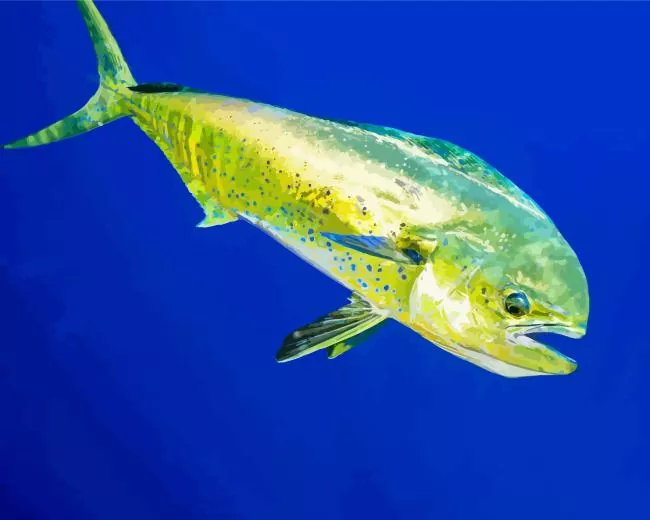 mahi mahi fish Diamond Paints Mahi Mahi Fish Diamond Painting