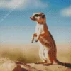 Meerkat Animal Diamond Painting