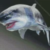 Megalodon Shark Diamond Painting