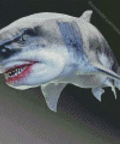 Megalodon Shark Diamond Painting