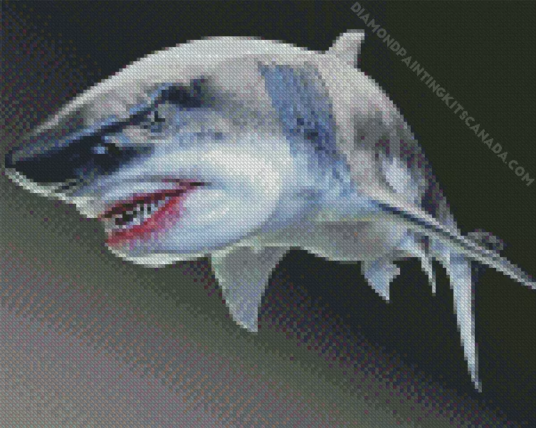 megalodon shark Diamond By Numbers Megalodon Shark Diamond Painting