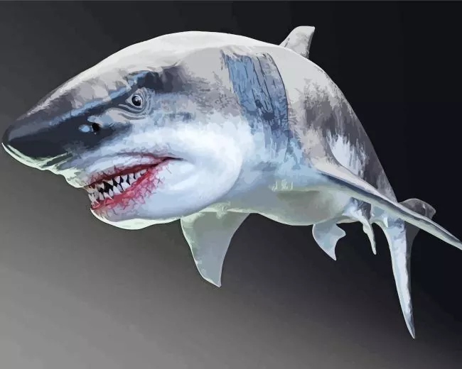 megalodon shark Diamond Paintings