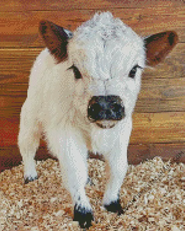 miniature cow Diamond By Numbers Miniature Cow Diamond Painting