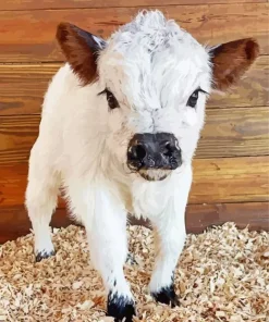 Miniature Cow Diamond Painting