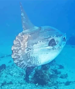 Mola Fish Diamond Painting