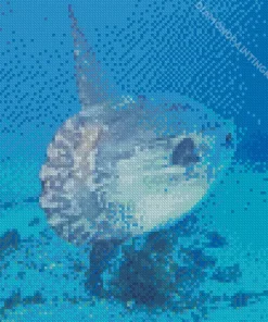 Mola Fish Diamond Painting