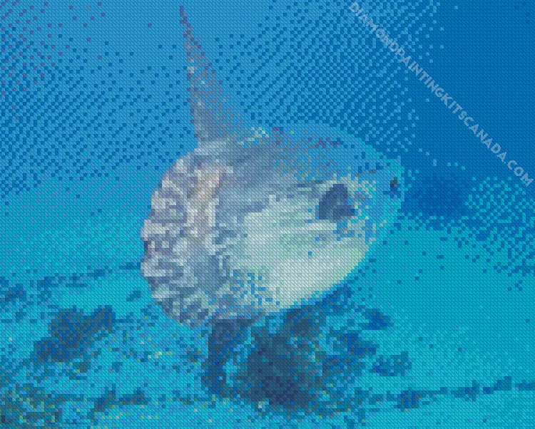 mola fish Diamond Paintings Mola Fish Diamond Painting