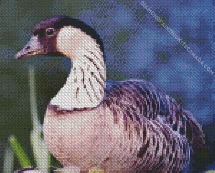 nene bird Diamond By Numbers Nene Bird Diamond Painting