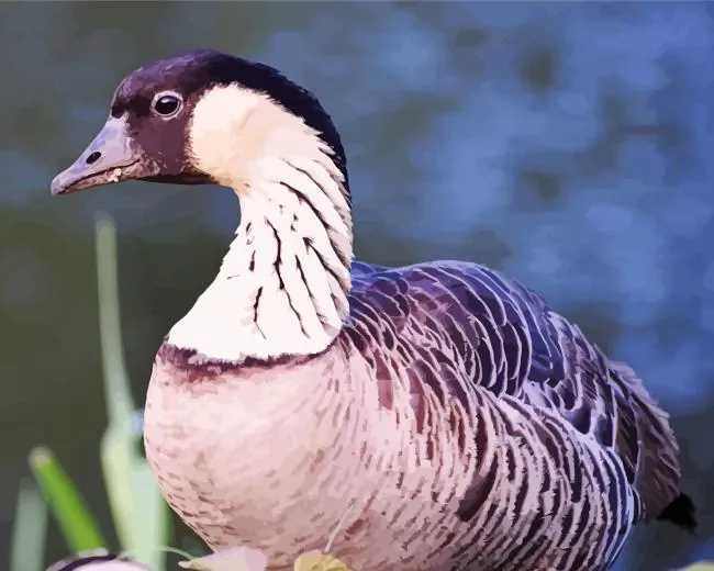 nene bird Diamond Paintings Nene Bird Diamond Painting