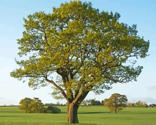 oak tree Diamond Paints Oak Tree Diamond Painting