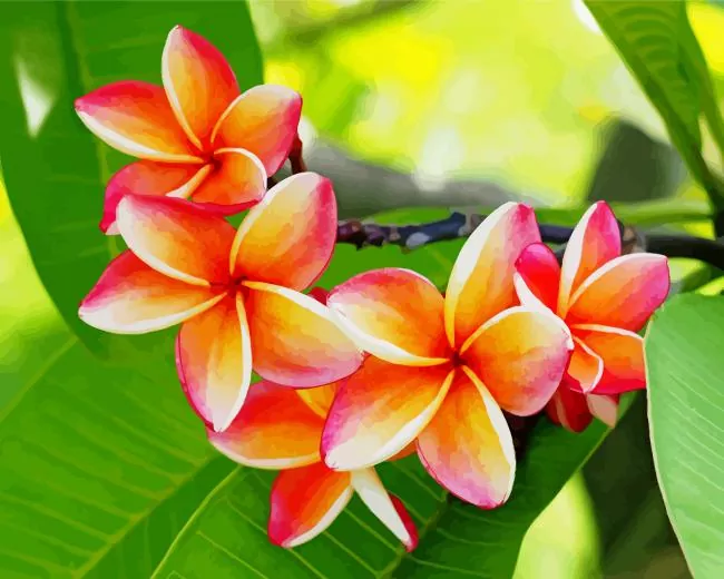 peach plumeria flowers Diamond Paints Peach Plumeria Flowers Diamond Painting