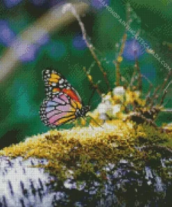 Rainbow Butterfly Diamond Painting