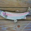 Rainbow Trout Fish Diamond Painting