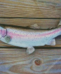 Rainbow Trout Fish Diamond Painting