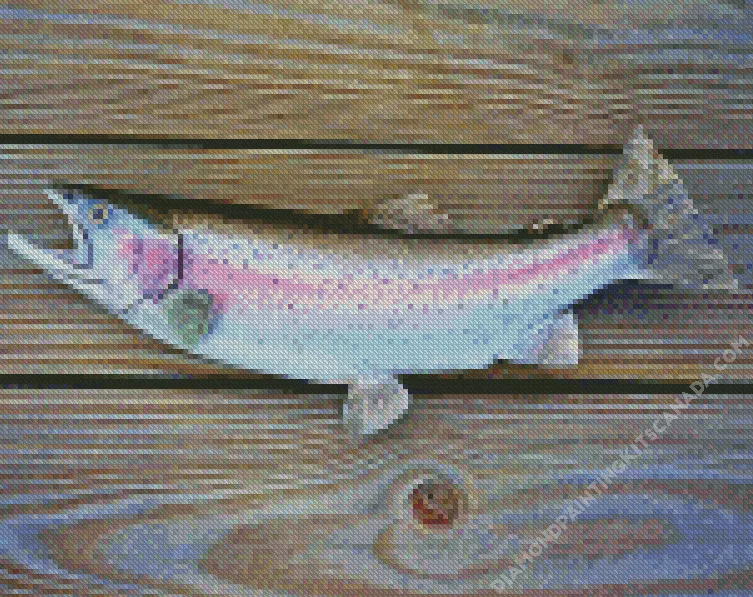 rainbow trout fish Diamond By Numbers Rainbow Trout Fish Diamond Painting