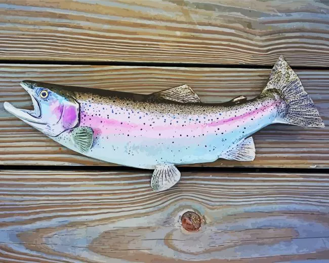 rainbow trout fish Diamond Paints