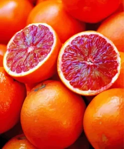 Red Orange Fruit Diamond Painting